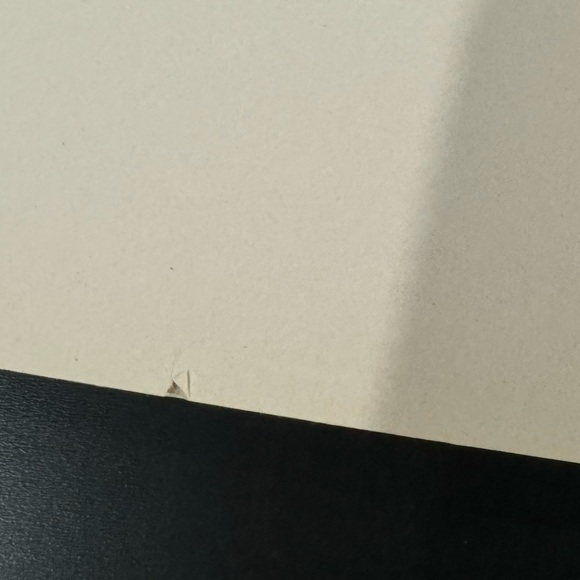 Blueberries for Sal by Robert McCloskey - Vintage Softcover Children’s Book - Picture 11 of 11